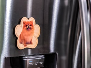 Image of Pomeranian Magnet