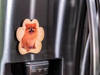 Image 2 of Pomeranian Magnet