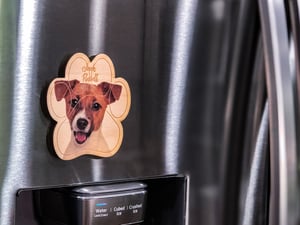 Image of Jack Russell Terrier Magnet