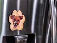 Image 2 of Jack Russell Terrier Magnet