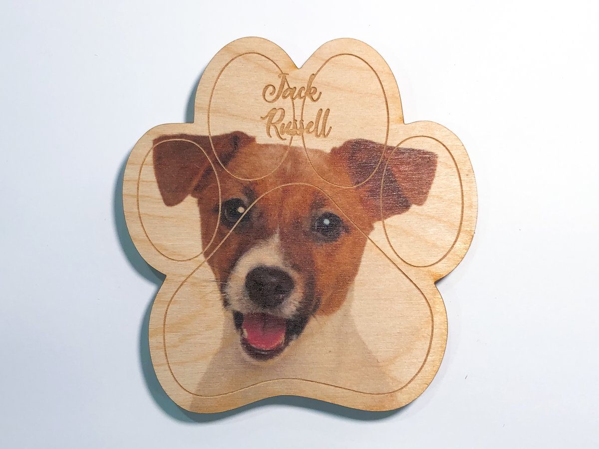 Image of Jack Russell Terrier Magnet