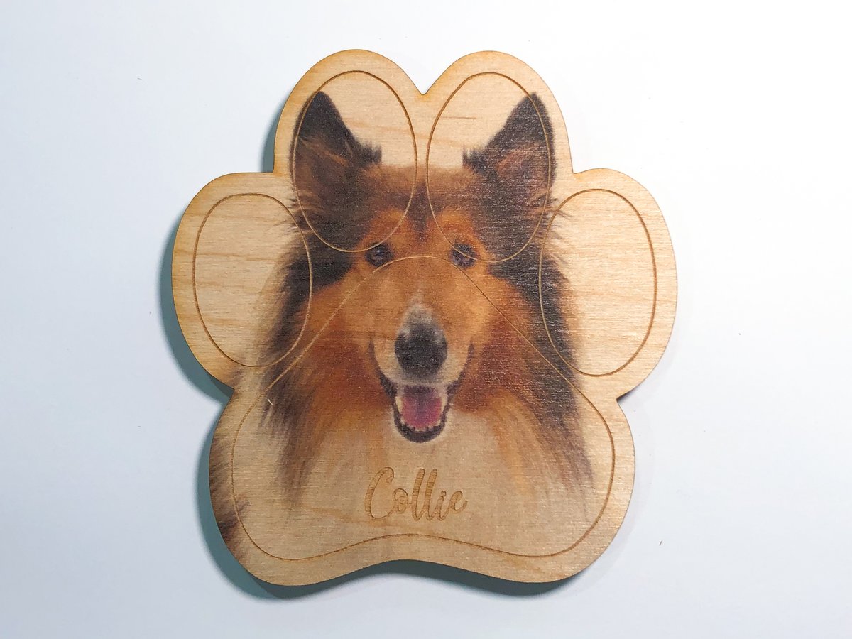 Image of Collie Magnet