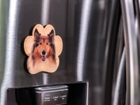Image 2 of Collie Magnet