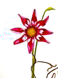 Image 2 of Floral minamalist fine art watercolor painting