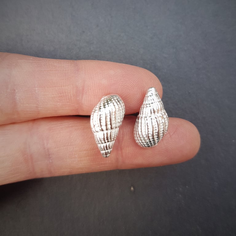Silver Shell Cufflinks Image 3