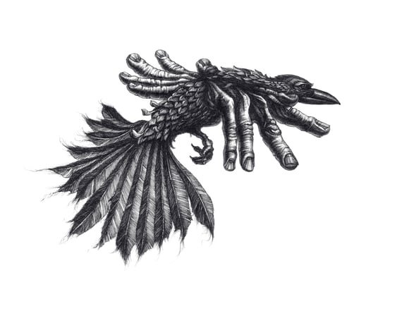 Image of Creative Spirit II