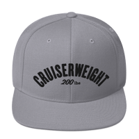 Image 2 of CRUISERWEIGHT 200 lbs (4 colors)