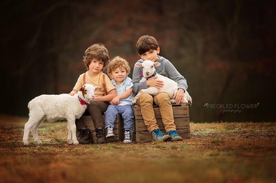 Image of September 21st - Art Barn Sessions (2 available)