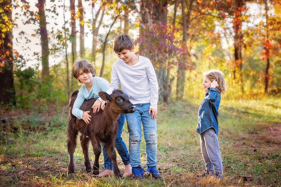 Image of Farm Session - September 22nd evening