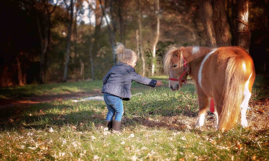 Image of Farm Session - September 22nd evening