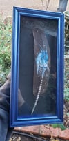 Yeti on peacock feather “Grynhildi”