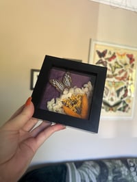 Image 3 of Common Mapwing Frame