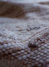 Image 5 of Desert Rose