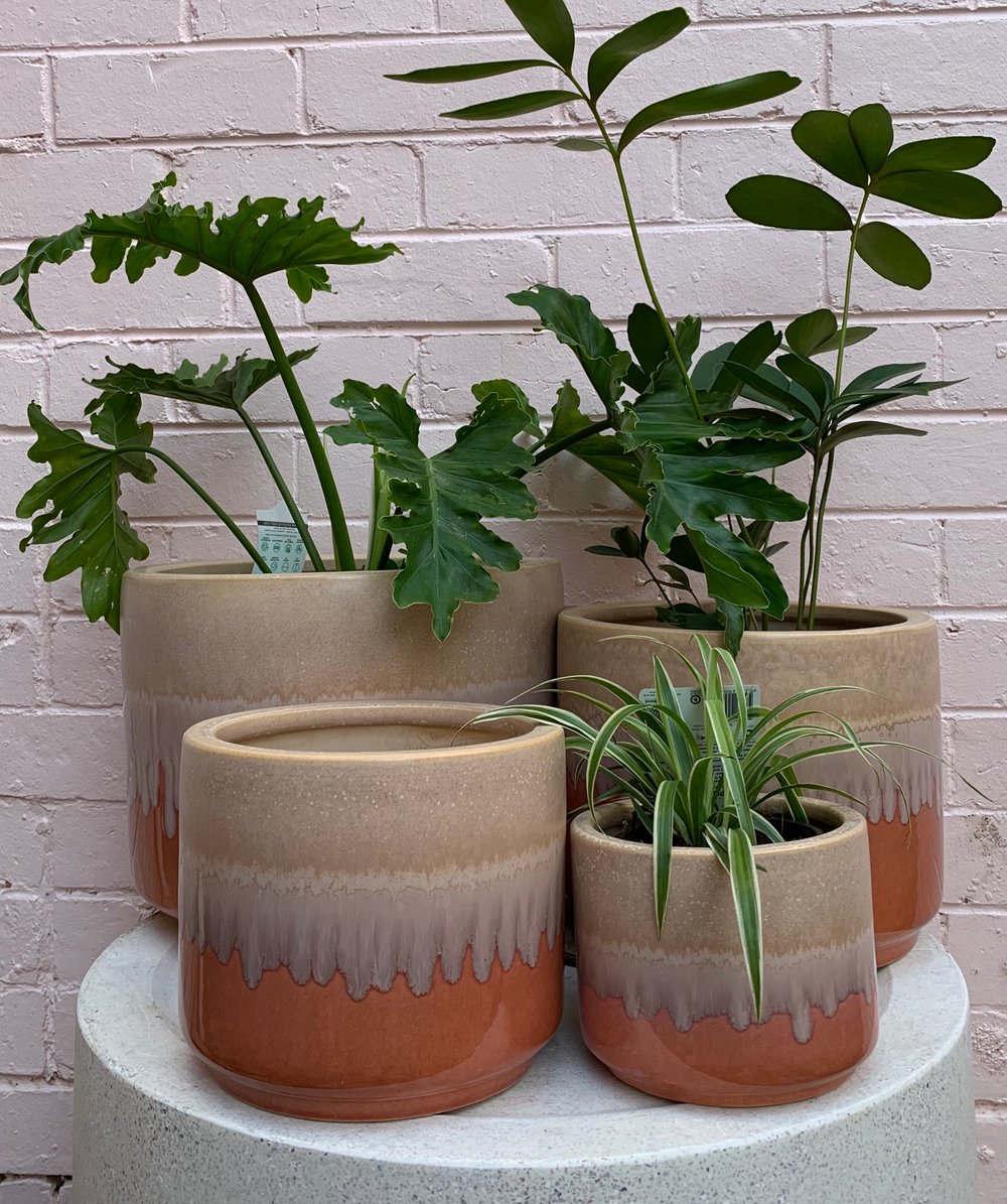 Image of Douglas & hope glazed pots s