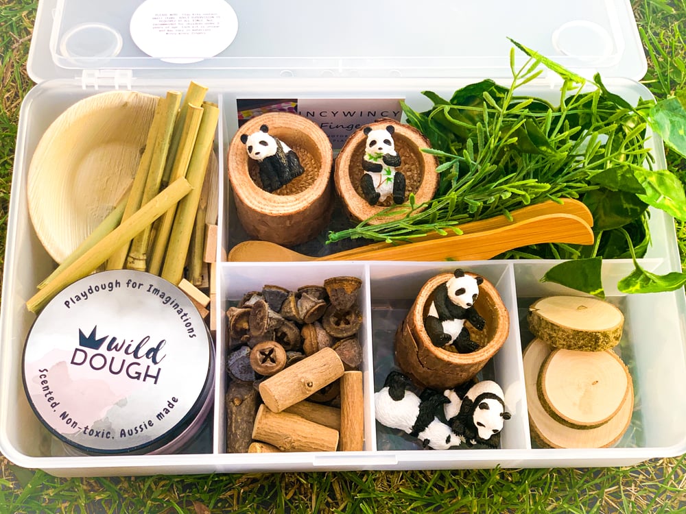 Image of Panda Playdough Play Kit