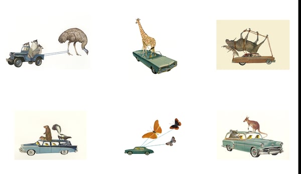 Image of Critter Collection greeting card set.