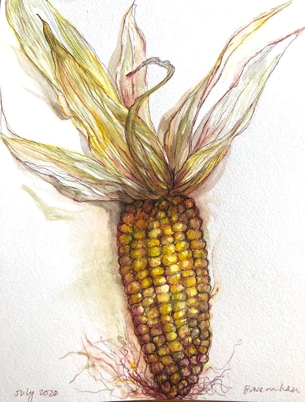 Sweetcorn