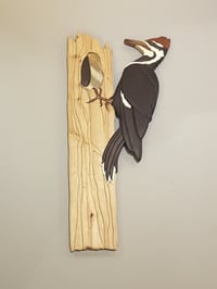 Image 1 of Woodpecker -- Life size