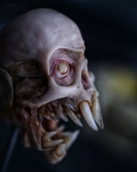 Image 5 of Vampire fetal skull, original art, dark academia