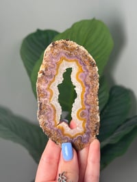 Image 1 of PURPLE AND YELLOW SWIRLY LAGUNA AGATE SLICE C