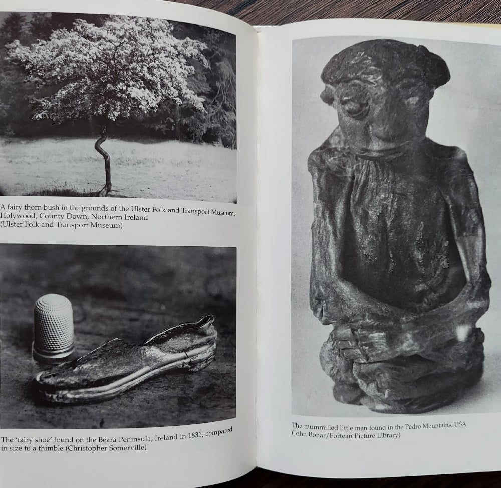 Fairies: Real Encounters with Little People, by Janet Bord