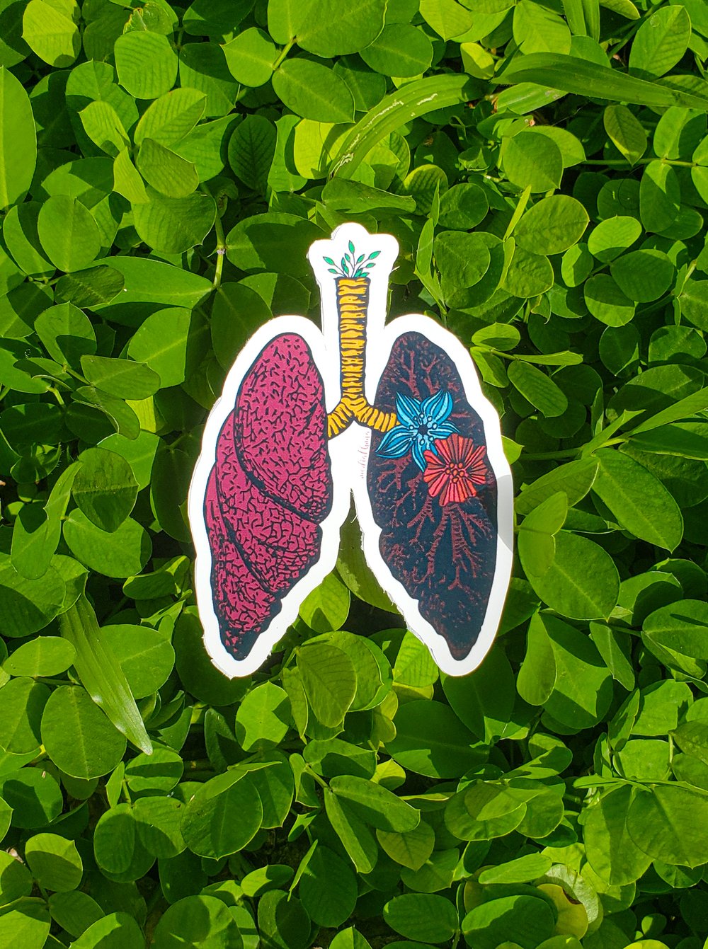 Pulmones Anatómicos - Serie #TB Stickers