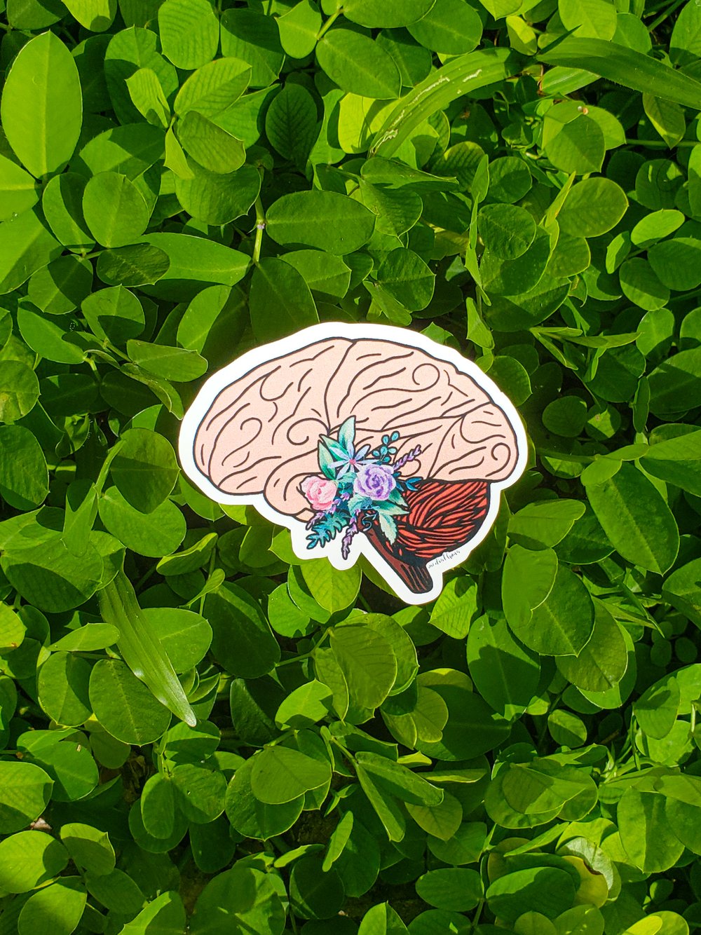 Cerebro Floral - Sticker