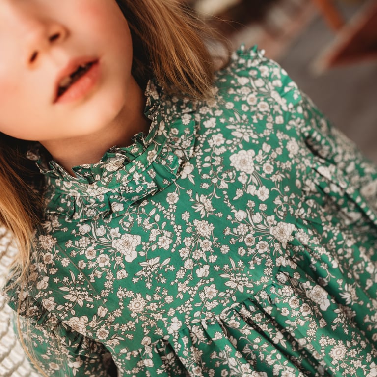 Celine Dress Image 2