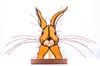 Wild Scottish Hare