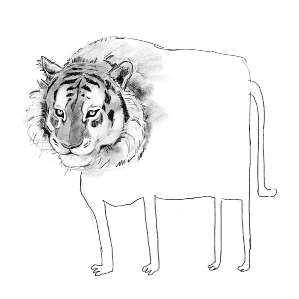 Image of Tiger Sketch Sticker
