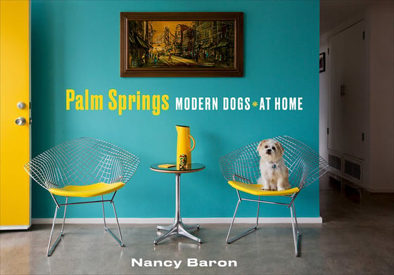 Image of Palm Springs Modern Dogs at Home