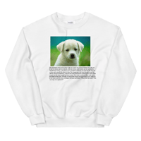 google images puppy