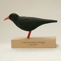 Image 1 of A dry persistent Chough. Corvid - 19