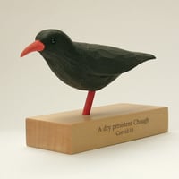 Image 3 of A dry persistent Chough. Corvid - 19