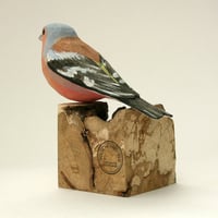 Image 1 of Chaffinch
