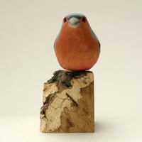 Image 3 of Chaffinch