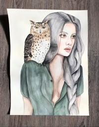 Image 2 of Owl