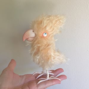 Image of April the Apricot Parrot