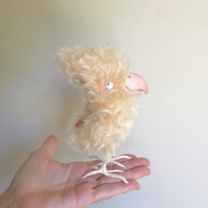 Image of April the Apricot Parrot