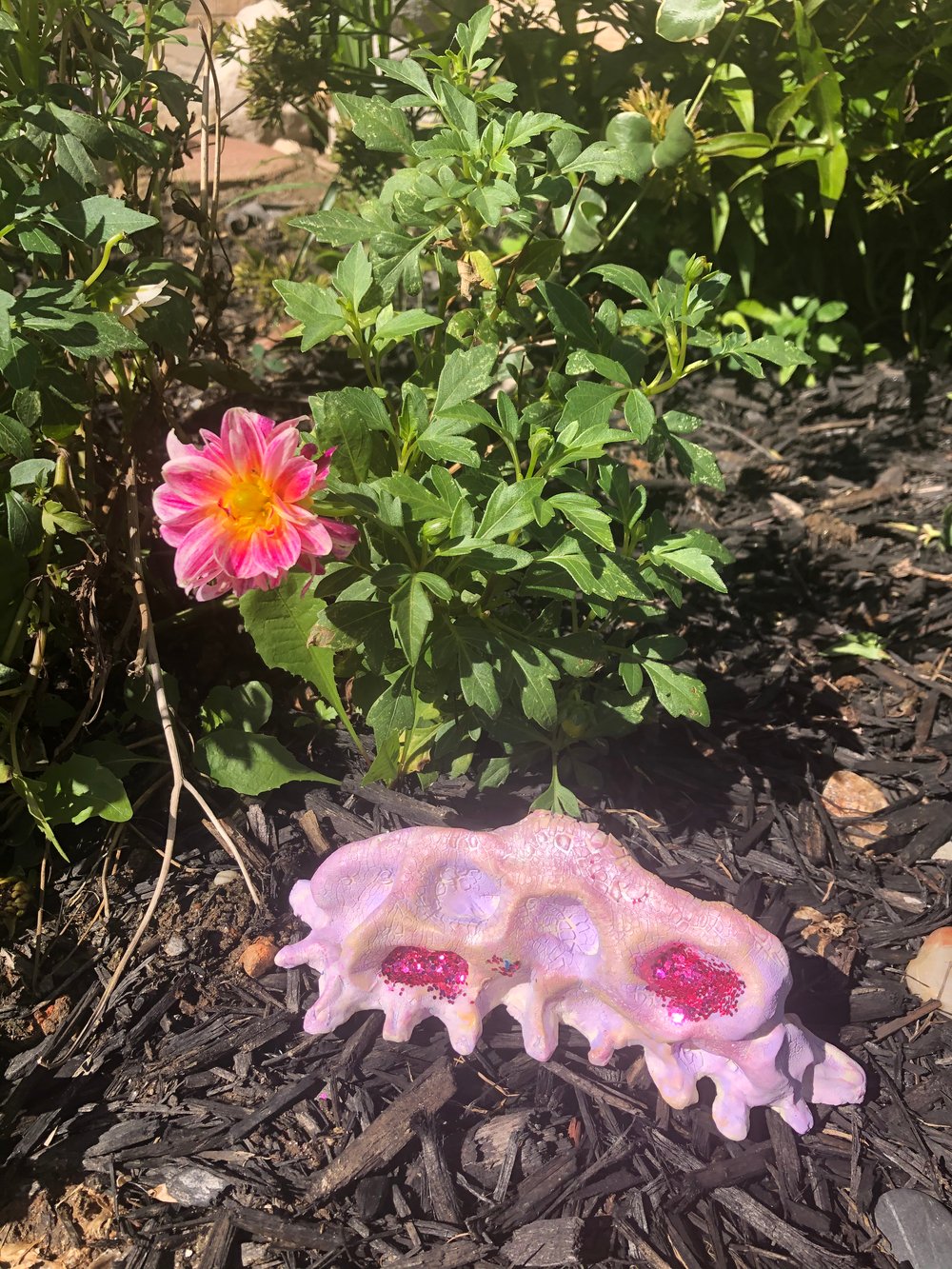 Image of Pink Dragon 