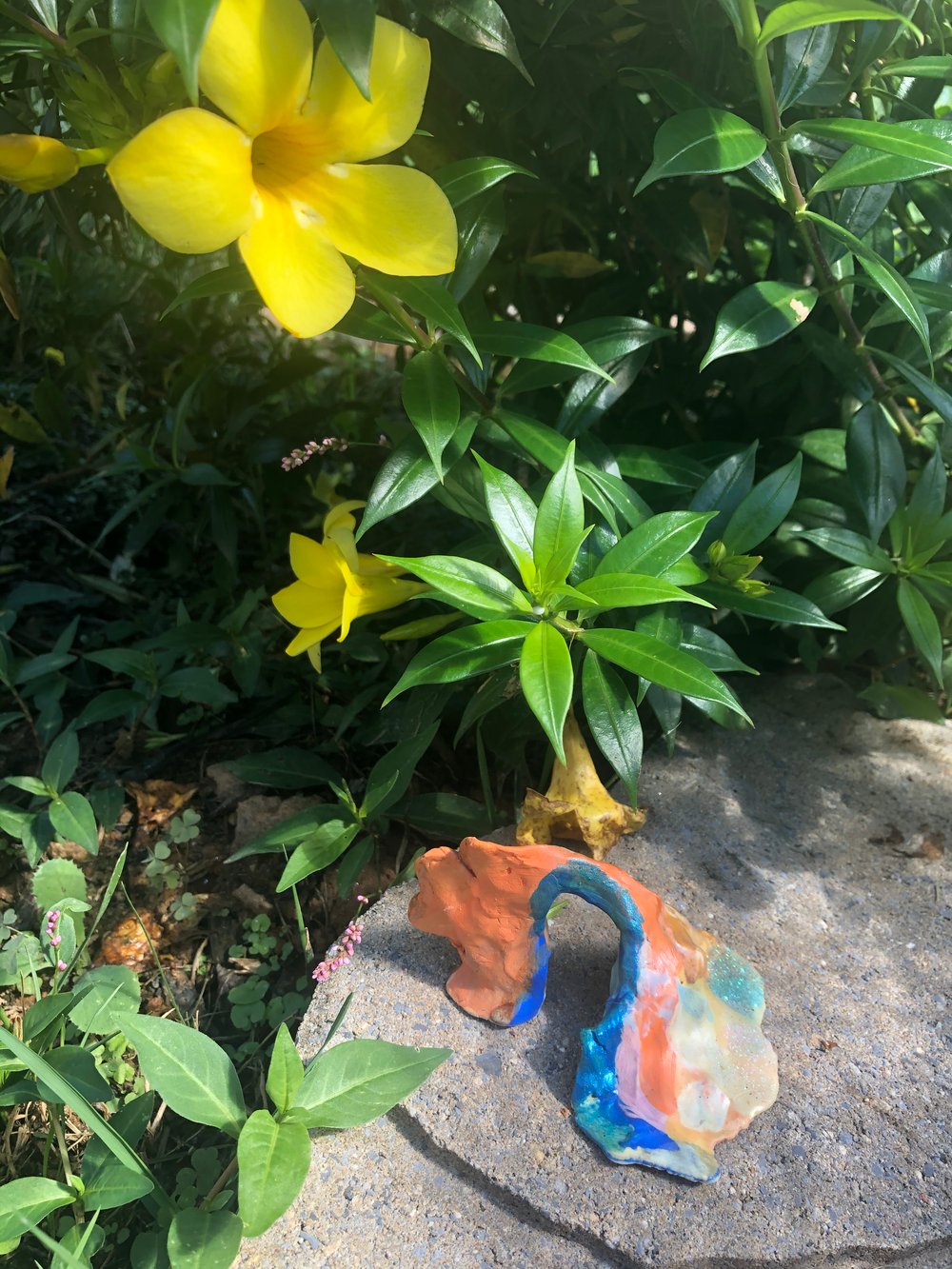 Image of Tiny Rainbow