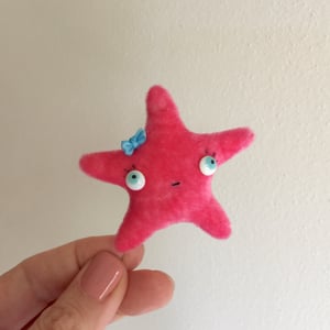 Image of Sissy the Starfish