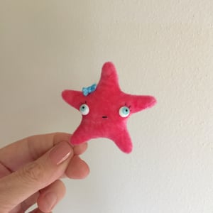 Image of Sissy the Starfish