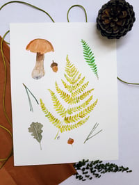 Image 1 of Fern and Mushrooms Original Watercolor Illustration 