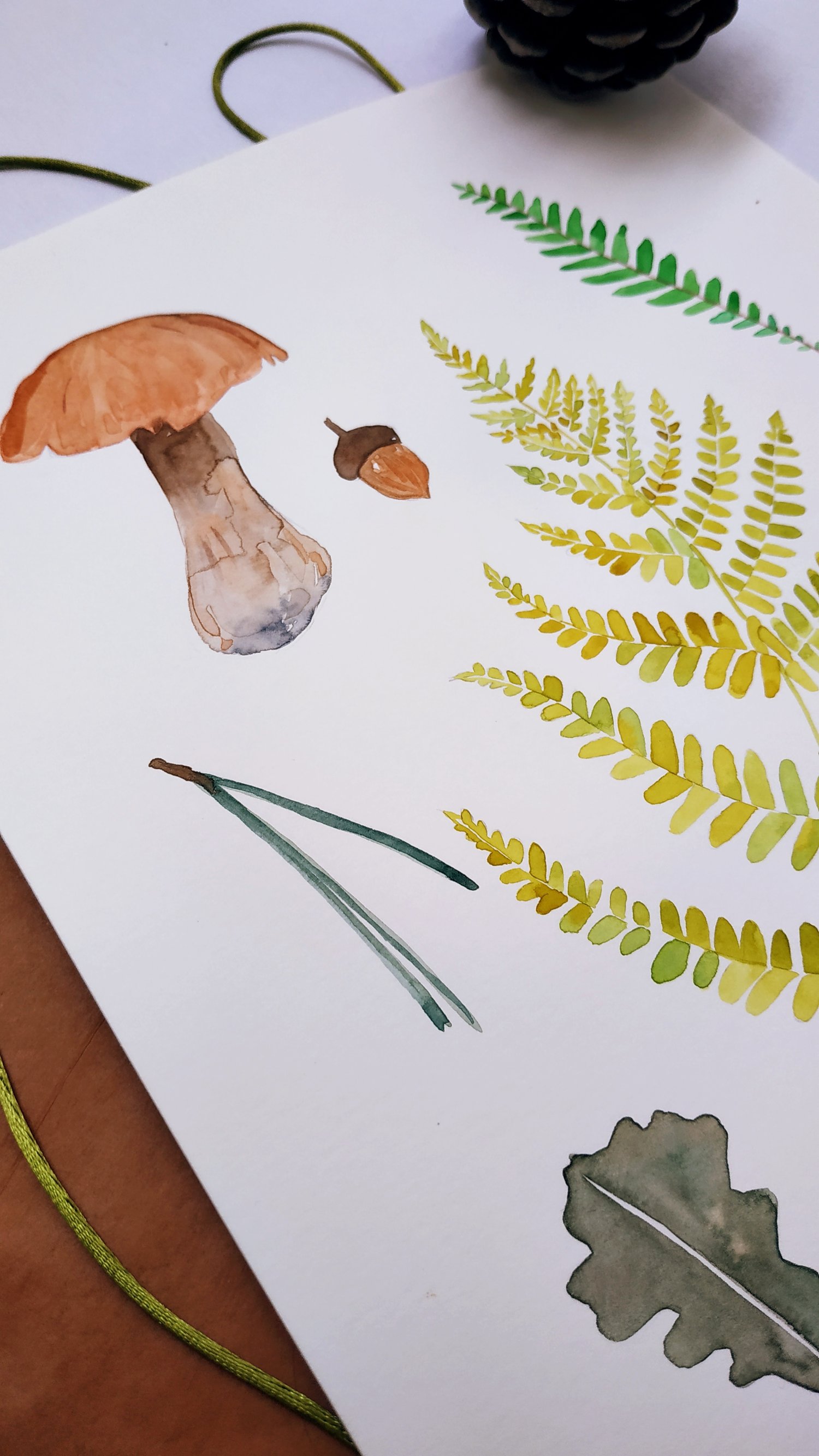 Image of Fern and Mushrooms Original Watercolor Illustration 