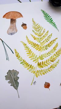 Image 3 of Fern and Mushrooms Original Watercolor Illustration 