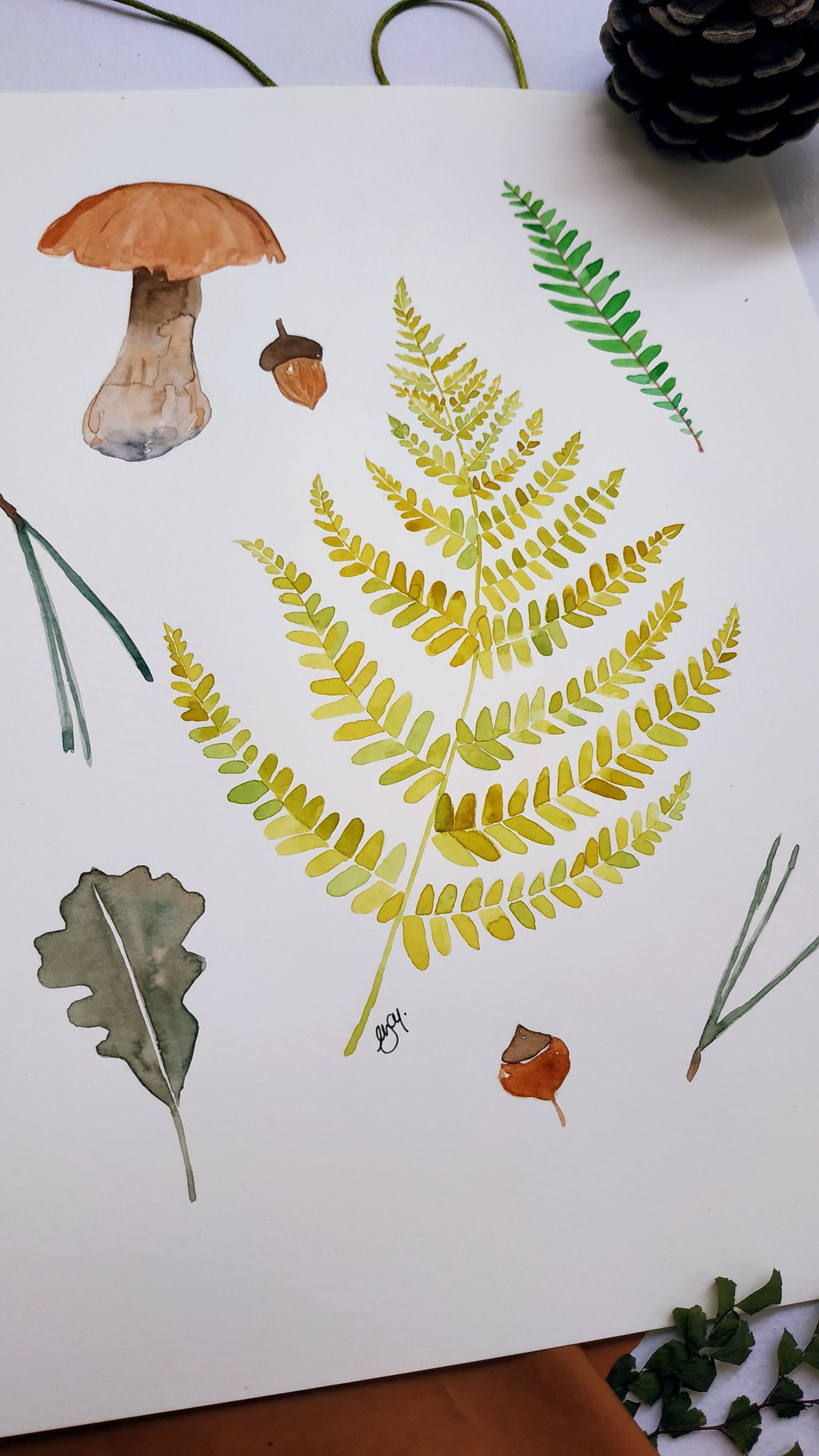 Image of Fern and Mushrooms Original Watercolor Illustration 