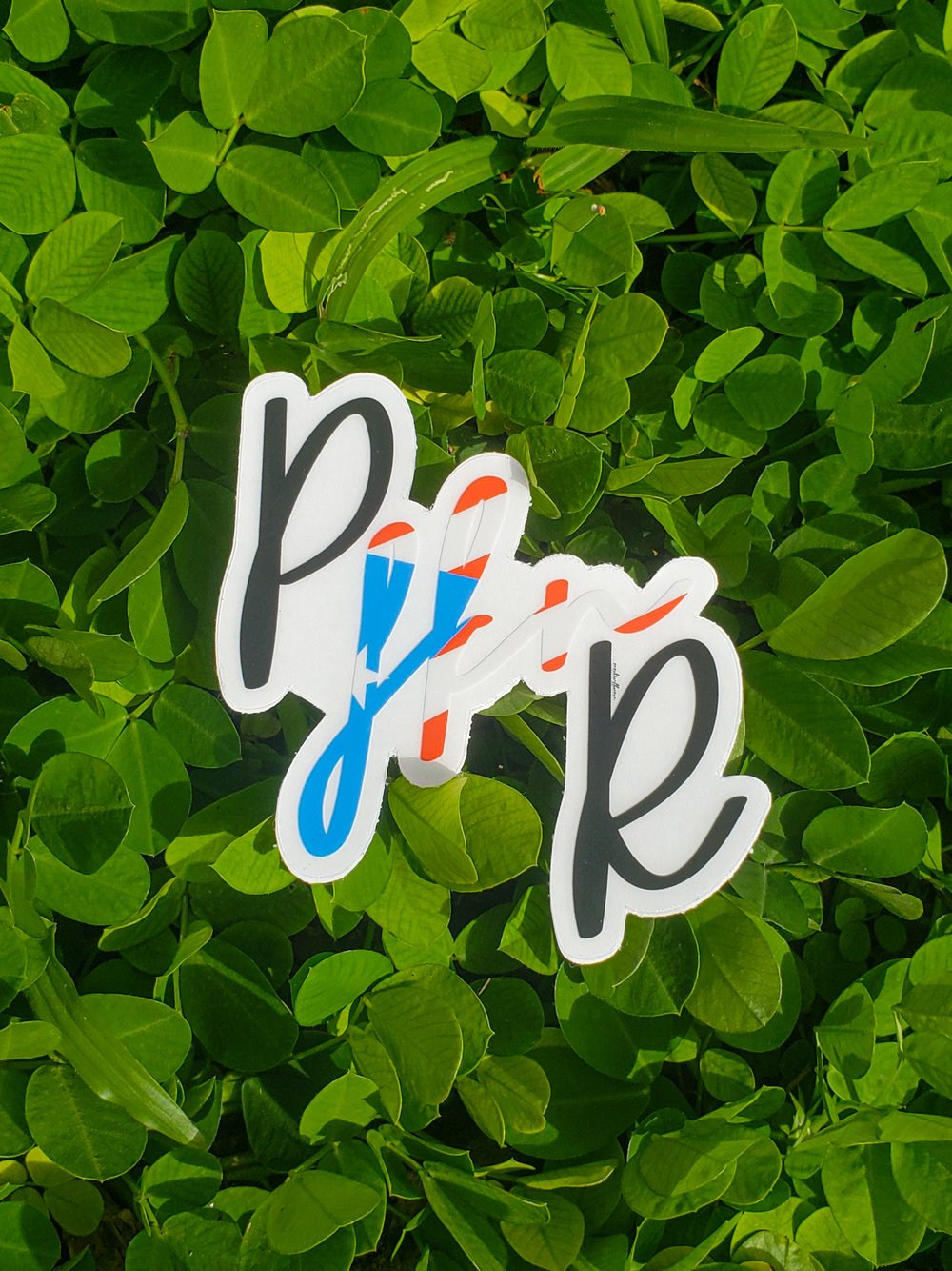 P fkn R - Sticker