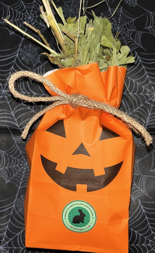 Image of Individual Halloween enrichment toys and treats 