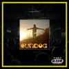 Andrea Van Cleef - "Sundog" CD
